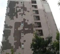氟碳面漆的价格_氟碳面漆固化剂用多会怎么_金属氟碳漆面漆价格