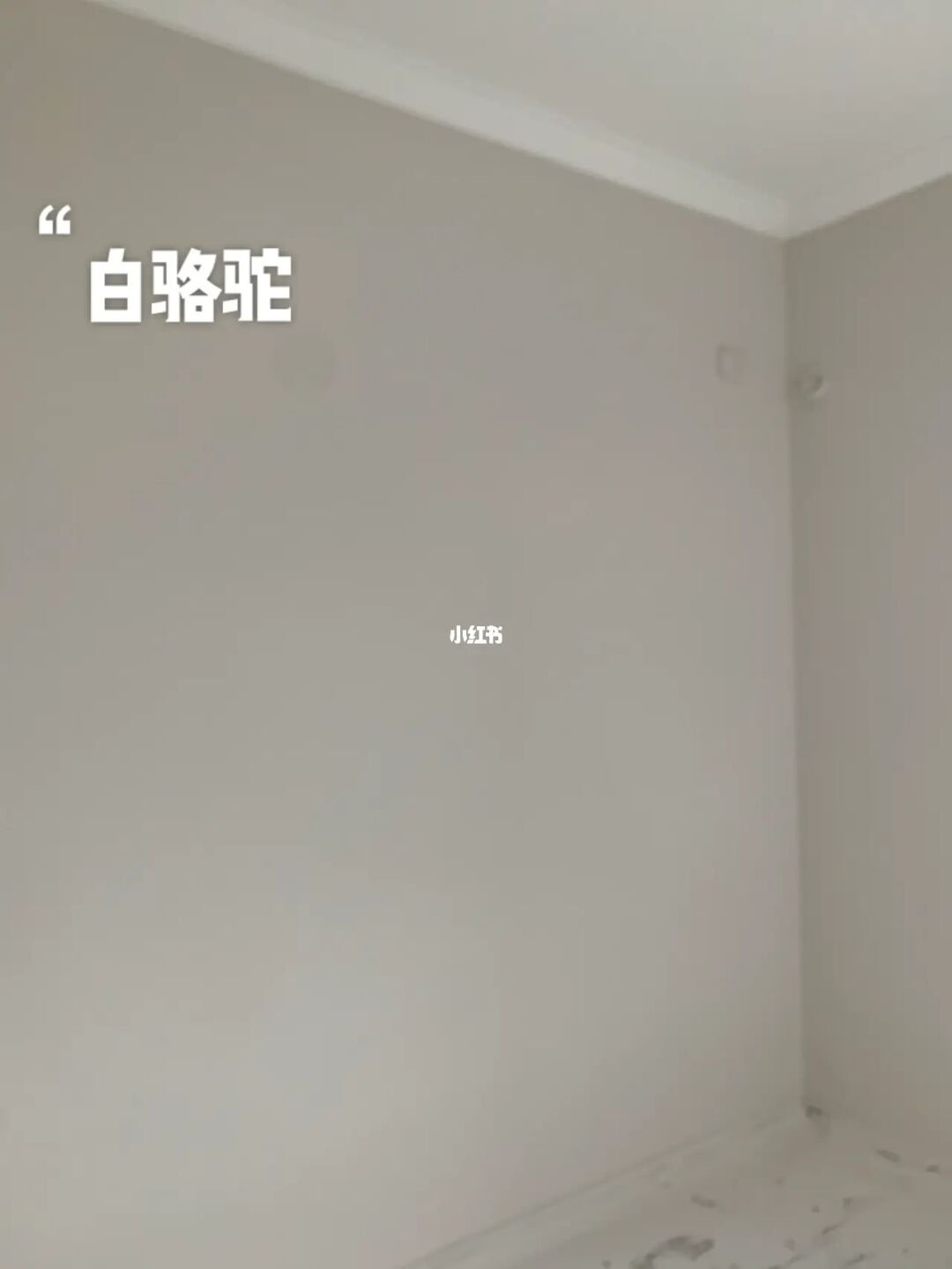 黄绿色乳胶漆_干粉漆与乳胶区的区别_绿色防污漆