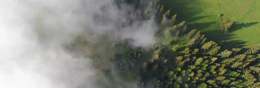 涂料湿润剂的种类_粉末涂料有哪些种类_墙面涂料种类