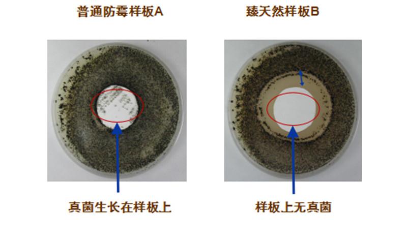 高温 无机胶_无机功能涂料_耐高温无机涂料