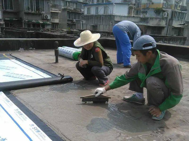 卷材 涂料防水_卷材比涂料防水_sj防水涂料