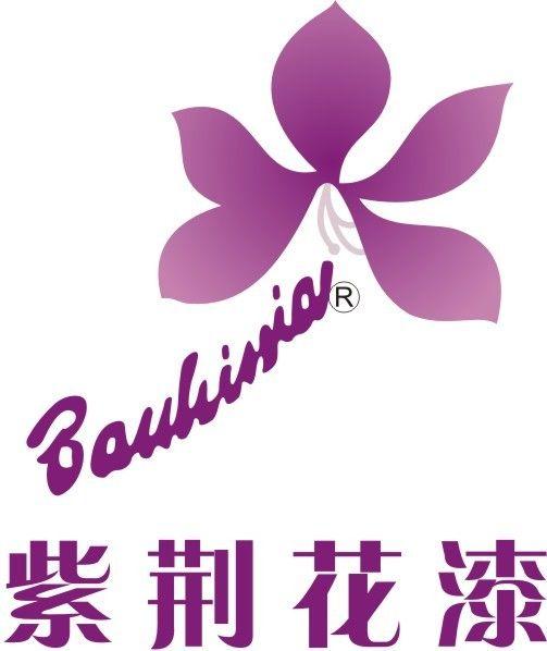 涂料喷枪压力壶桶油漆乳胶_100平方用多少油漆_100平方乳胶漆用几桶