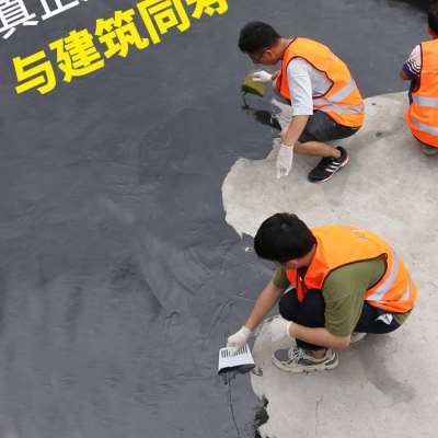 防水混凝土,铝酸盐水泥,矾土水泥 的电力接地_rg是什么防水品牌_rg聚合物水泥防水涂料