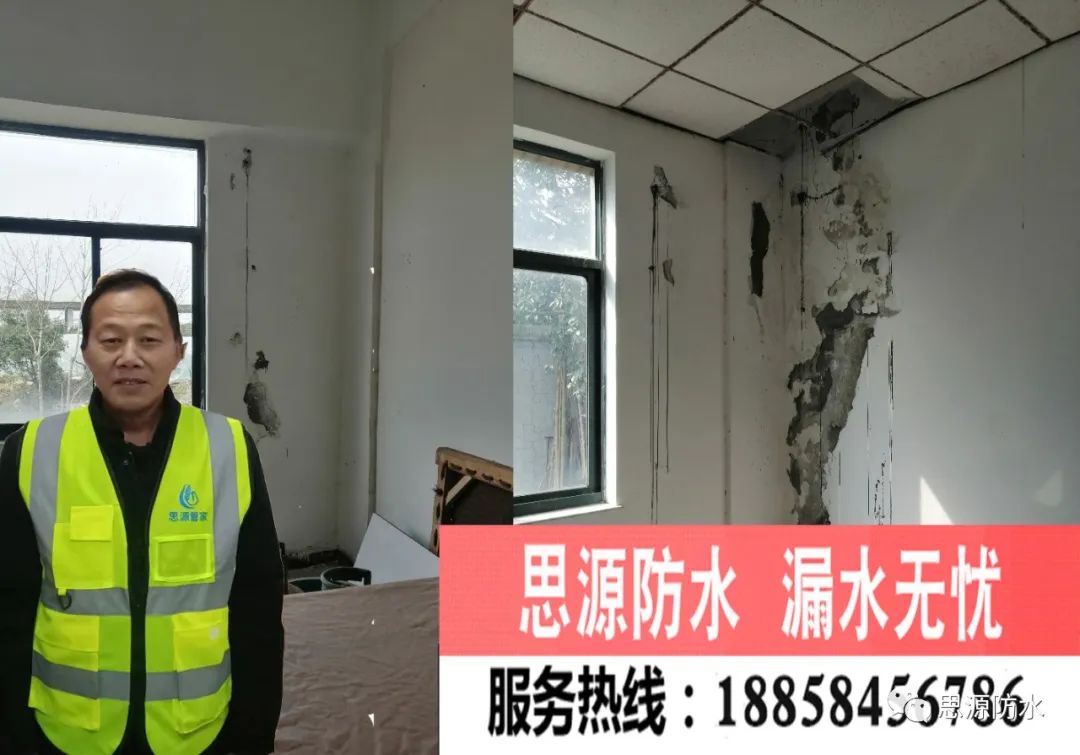 涂料与漆_亮龙涂料漆_低碳漆 隔热固化涂料