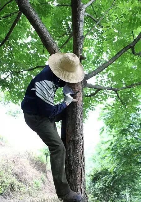 生态涂料 低碳漆防水_涂料与漆_润立牌室内涂料漆