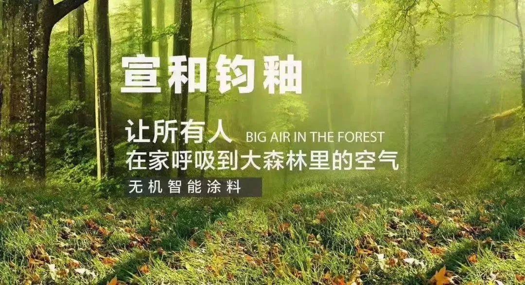 中釉无机涂料_中山德图堡无机涂料_无机涂料价格
