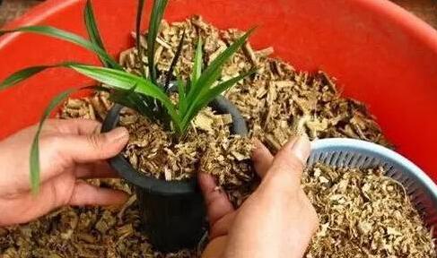 稻草泥艺术涂料制作配方哪里有_万磊硅藻泥艺术涂料怎么样_美国欧施泥艺术涂料