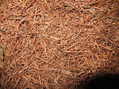 稻草泥艺术涂料制作配方哪里有_万磊硅藻泥艺术涂料怎么样_美国欧施泥艺术涂料