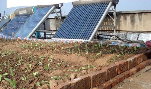 万磊硅藻泥艺术涂料怎么样_稻草泥艺术涂料制作配方哪里有_美国欧施泥艺术涂料