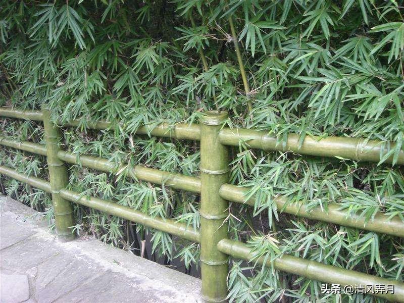 铝型材木纹转印设备_木纹转印粉末涂料_铝合金型材木纹转印设备