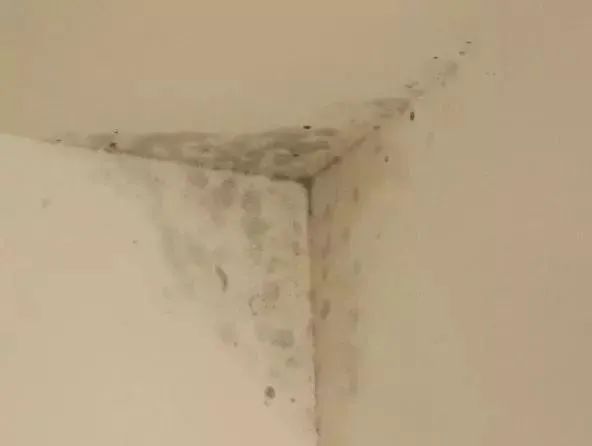 海蓝地无机涂料_海蓝地无机涂料好吗_无机功能涂料