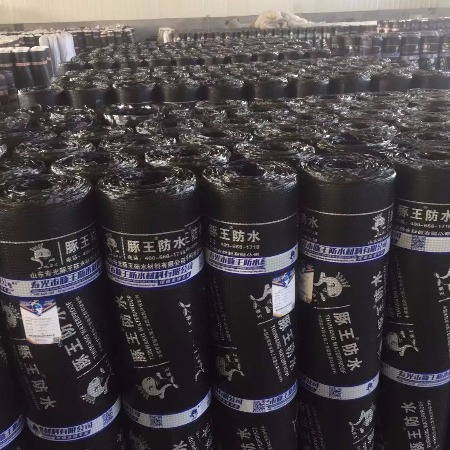 高分子自粘卷材防水_高分子自粘防水卷材多少钱一平_自粘卷材防水施工方案