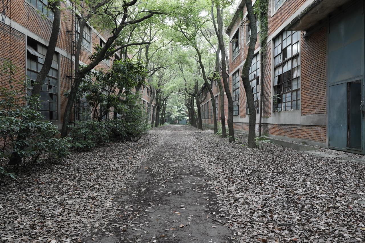 湖北工业漆_漆酶工业生产工艺_湖北工业大学录取分数线2015