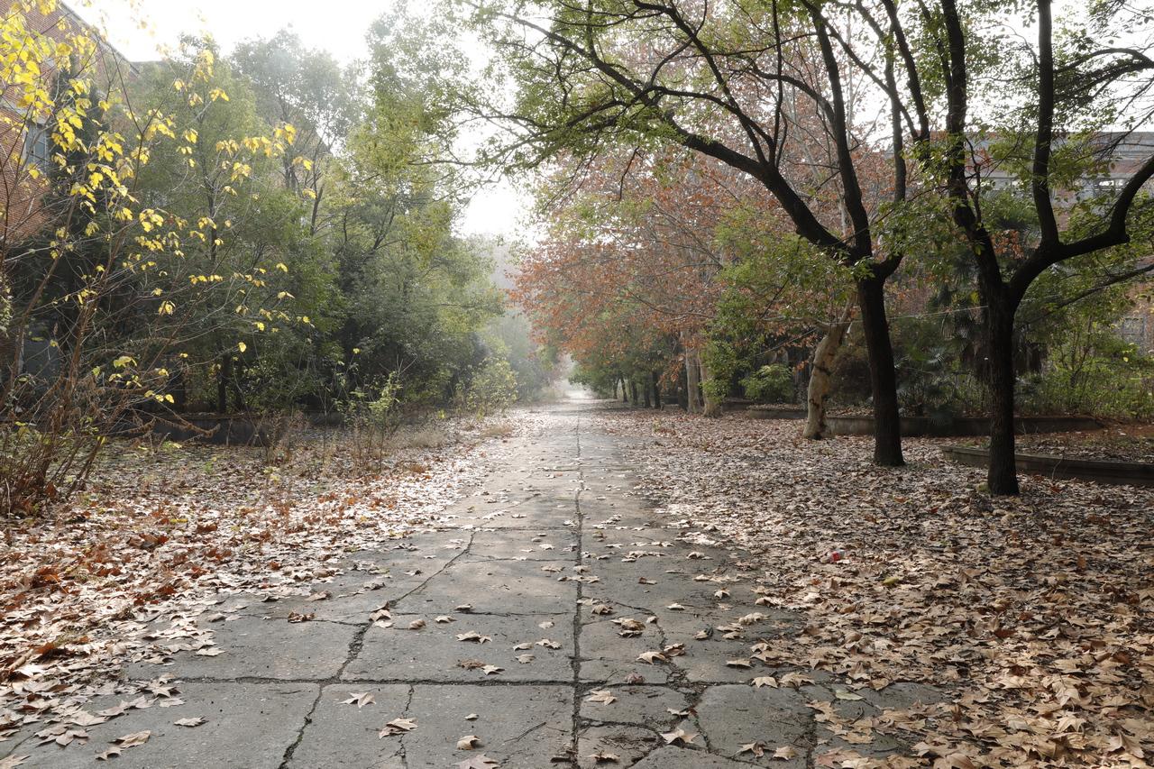 湖北工业漆_漆酶工业生产工艺_湖北工业大学录取分数线2015