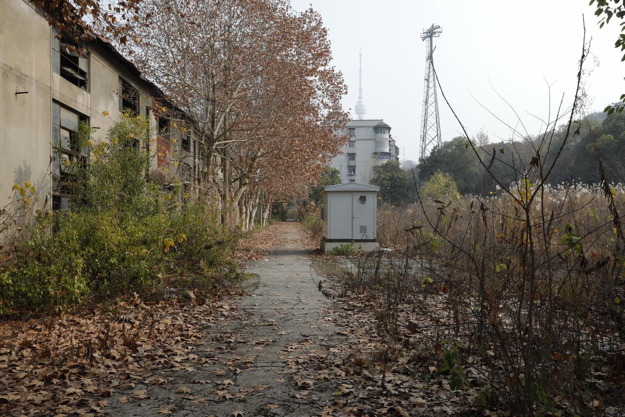 湖北工业大学录取分数线2015_漆酶工业生产工艺_湖北工业漆
