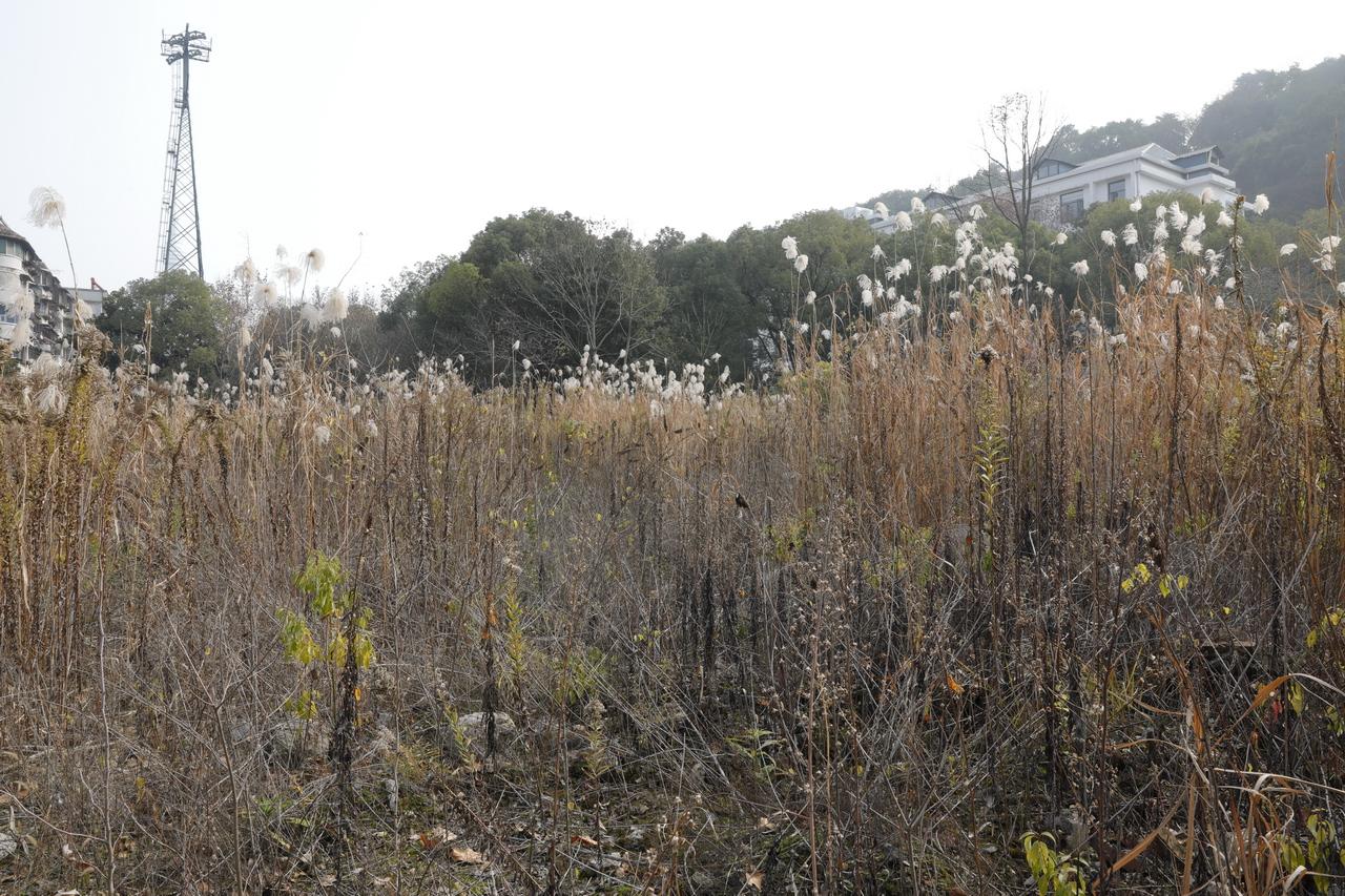湖北工业漆_湖北工业大学录取分数线2015_漆酶工业生产工艺