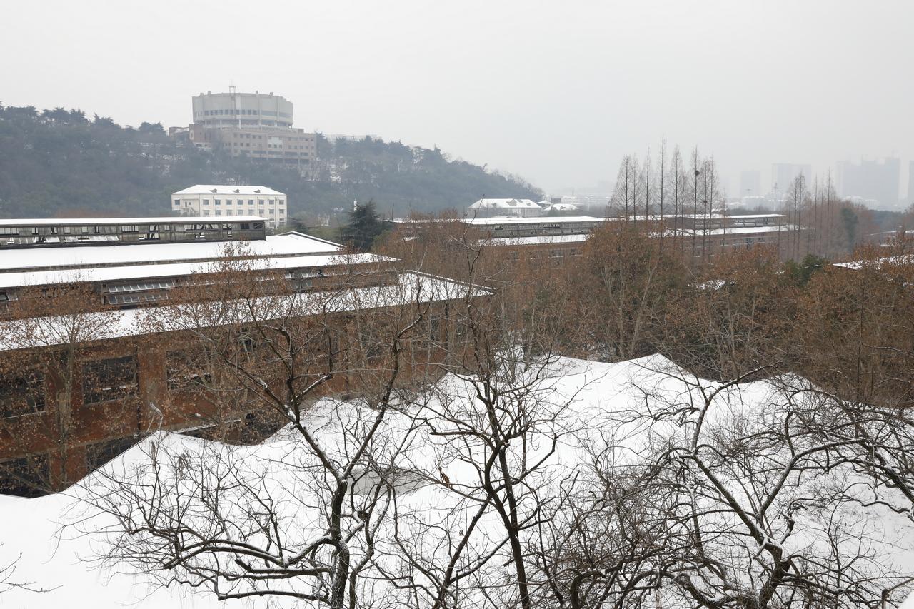 漆酶工业生产工艺_湖北工业漆_湖北工业大学录取分数线2015