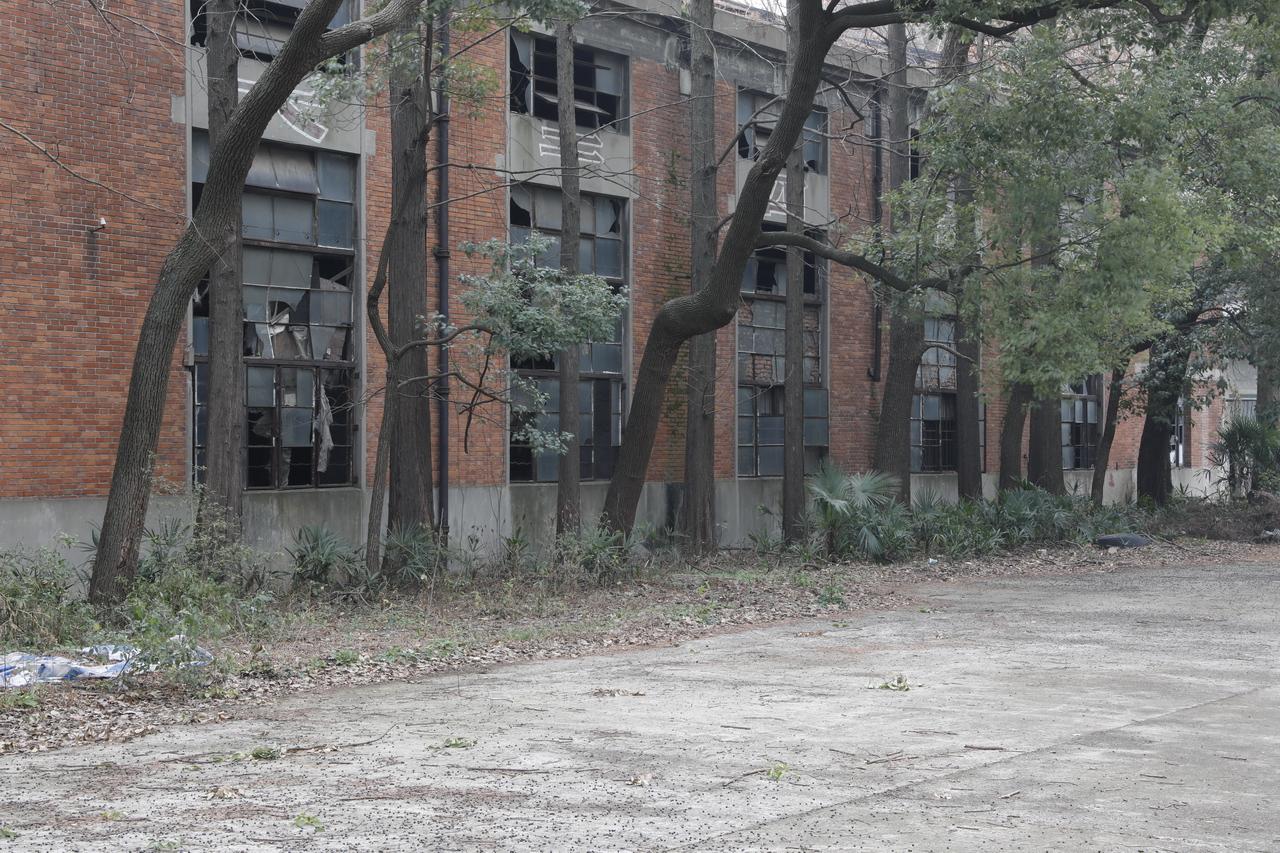 湖北工业漆_漆酶工业生产工艺_湖北工业大学录取分数线2015