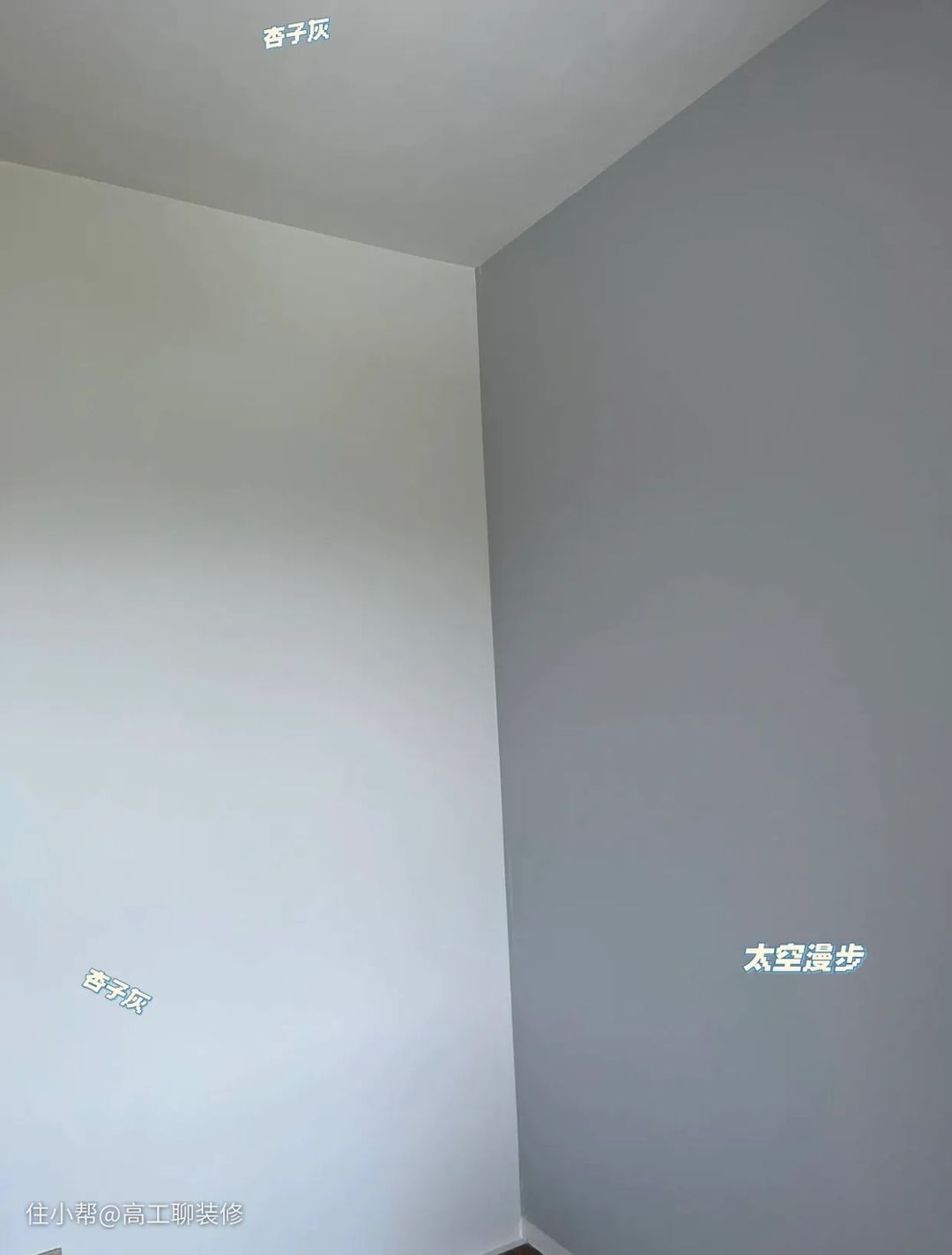 墙面漆和乳胶漆有什么区别_墙面肌理漆效果图_墙面金箔漆施工