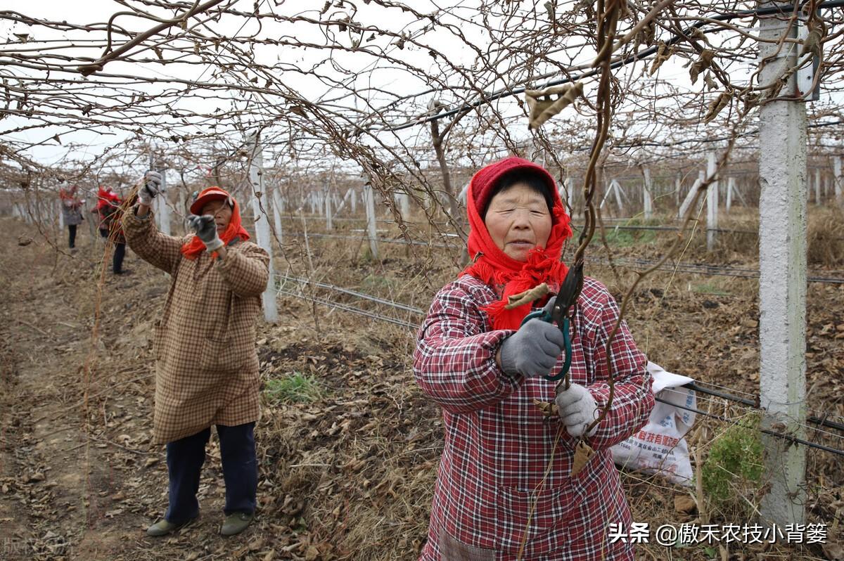 无机涂料与乳胶漆_无机清水涂料_无机涂料 乳胶漆