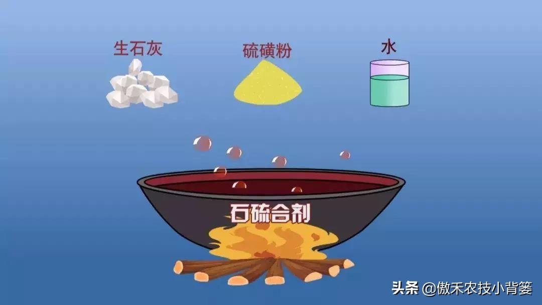 无机清水涂料_无机涂料 乳胶漆_无机涂料与乳胶漆