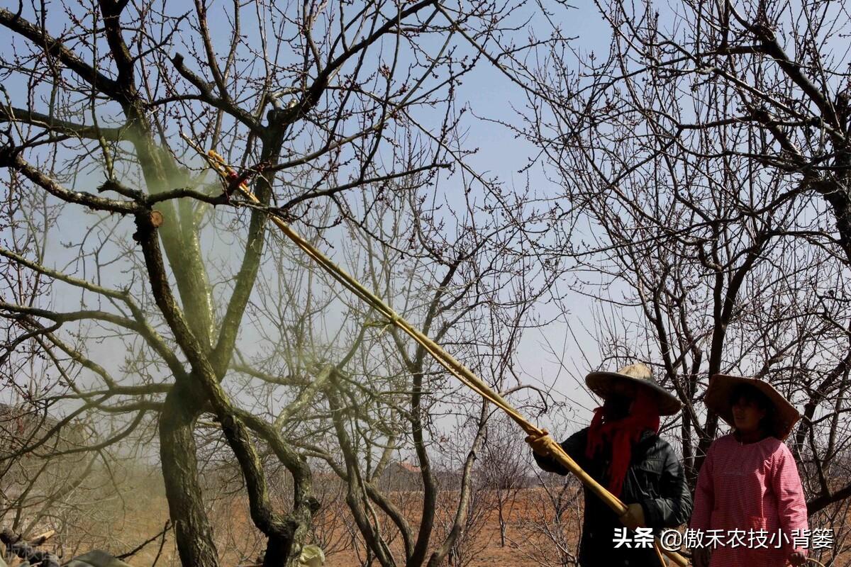 无机涂料 乳胶漆_无机清水涂料_无机涂料与乳胶漆