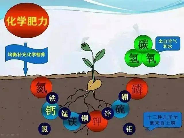 海蓝地无机功能涂料原材料在哪里_无机涂料价格_无机清水涂料