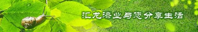 房顶用防水涂料_屋顶防水用涂料还是卷材_防水用丙纶好还是刷涂料好