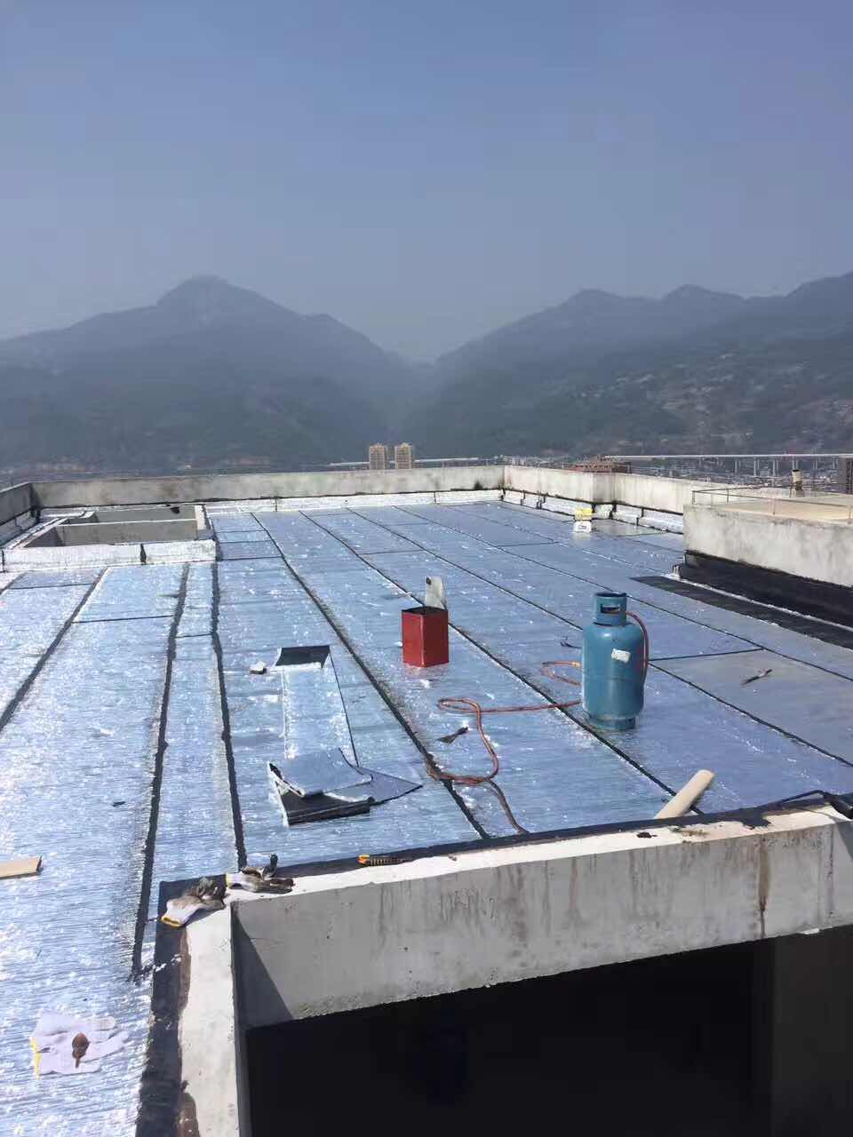 防水用丙纶好还是刷涂料好_屋顶防水用涂料还是卷材_房顶用防水涂料