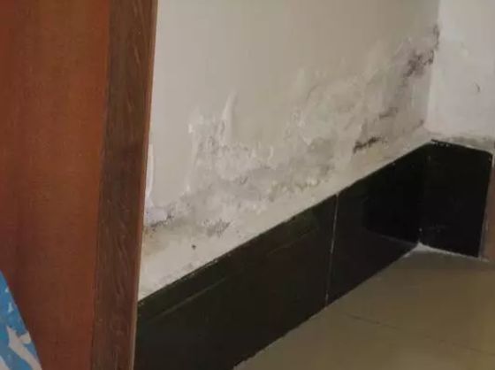 金属外墙漆_外墙仿石漆施工方案_外墙荷叶漆