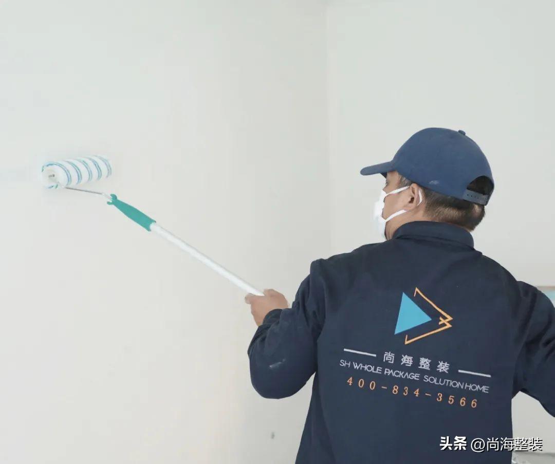 干粉漆与乳胶区的区别_进口乳胶漆十大名牌_乳胶床垫进口