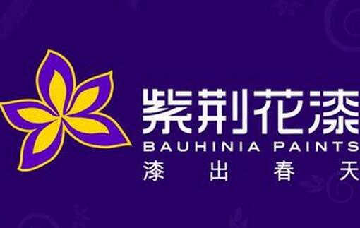 家装室内用什么品牌油漆好_家装 油漆品牌_环保家装油漆品牌排行榜