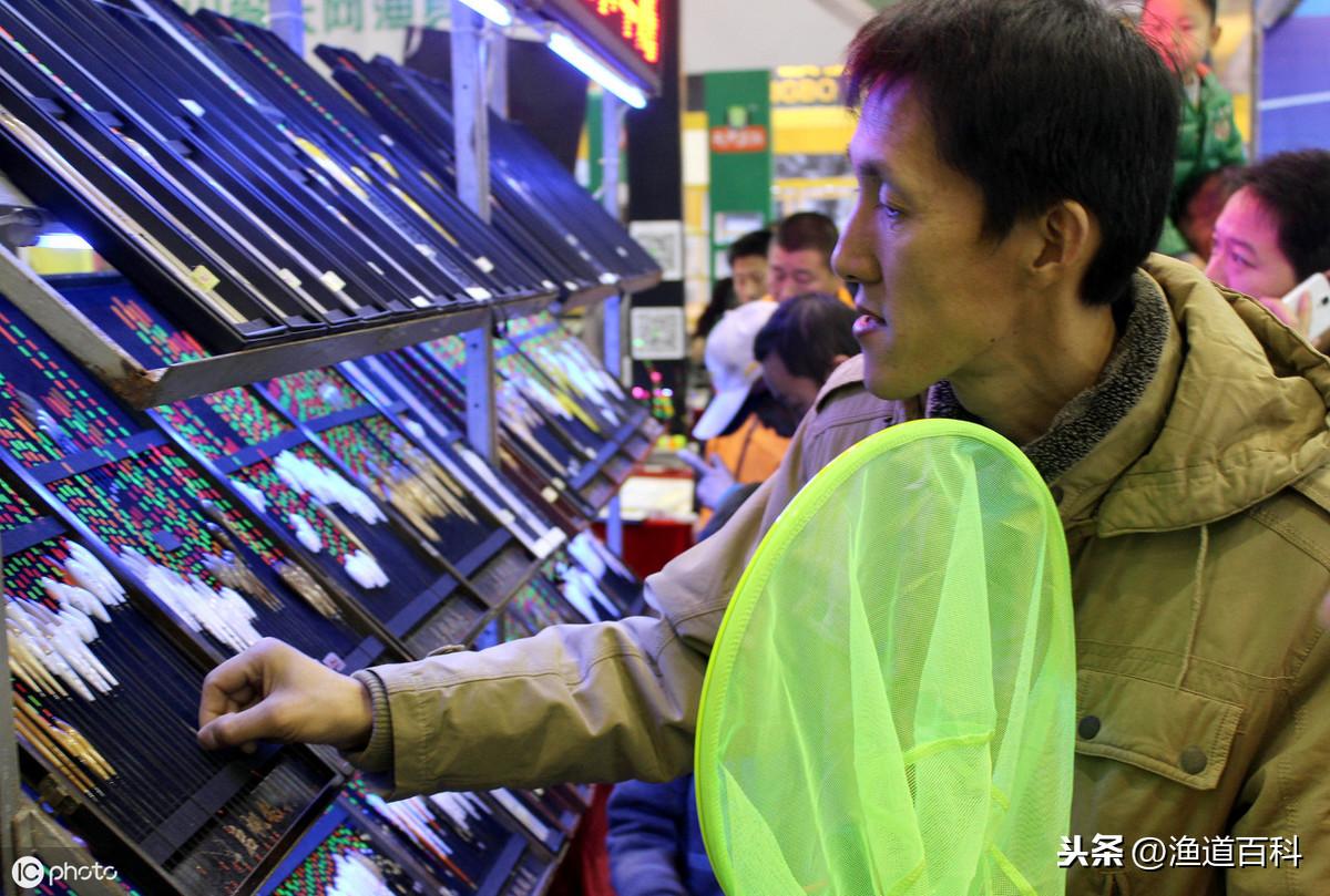 什么牌子的补漆笔好_浮漂漆哪个牌子好_浮漂什么牌子好