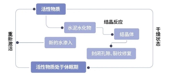 卷材防水与涂料防水_界面剂与水泥基结晶防水怎么用_结晶型防水涂料