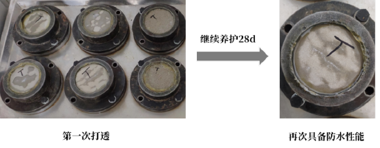 卷材防水与涂料防水_结晶型防水涂料_界面剂与水泥基结晶防水怎么用