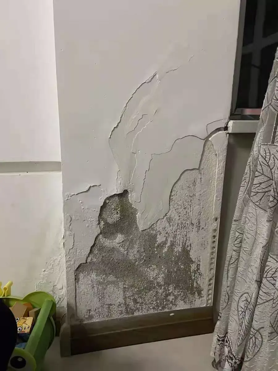 品牌乳胶漆漆十大排名_好乳胶漆品牌_乳胶漆排名