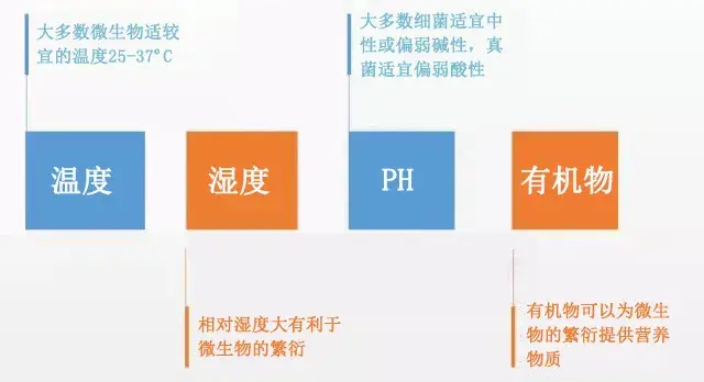 乳胶漆墙面长毛在家怎么处理_乳胶漆墙面长毛_漆墙面长毛乳胶漆能用吗