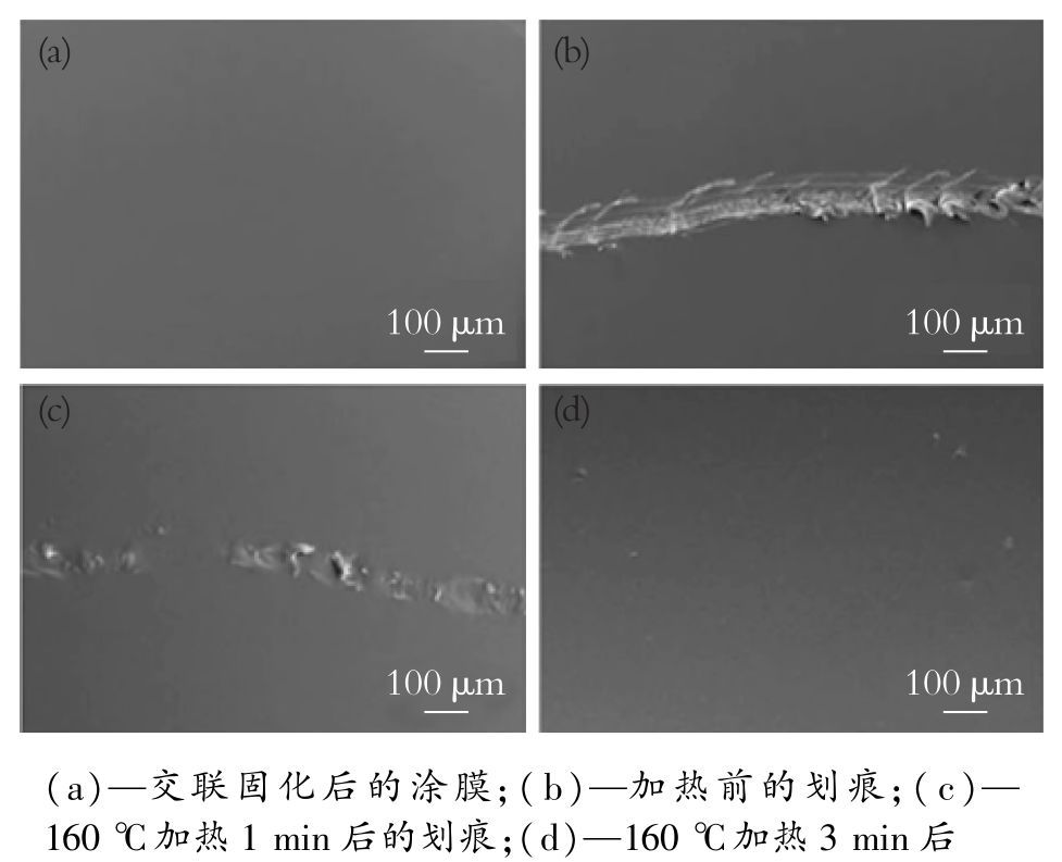 衡水防腐材料生产厂家_防腐涂料衡水生产厂家_衡水防腐涂料