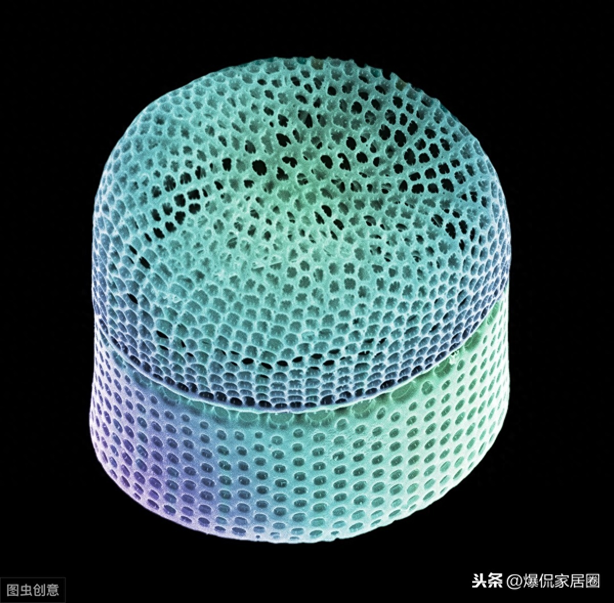 墙纸好乳胶漆好_漆墙纸乳胶好用吗_乳胶漆和墙纸哪个好