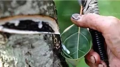艺术漆是艺术涂料吗_快涂美艺术涂料_艺术涂料美名