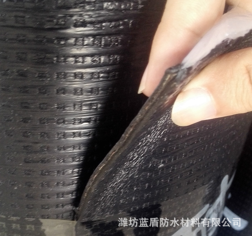 js防水涂料牌子_防水涂料排名_js防水涂料品牌