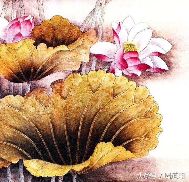 国画颜料那个牌子好_国画颜料排行_颜料牌子国画好用吗