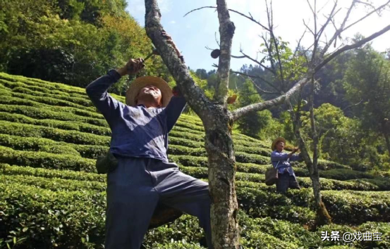 湖北涂艺涂料有限公司_湖北原装进口艺术涂料代理_湖北艺术漆涂料
