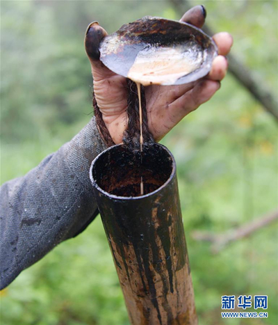湖北涂艺涂料有限公司_湖北艺术漆涂料_湖北原装进口艺术涂料代理