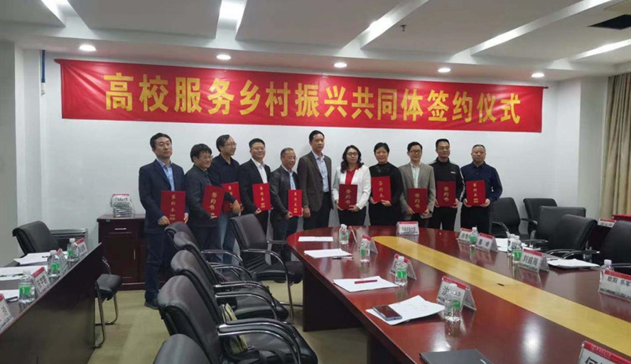 _100个乡村振兴专项典型案例_乡村振兴联合体