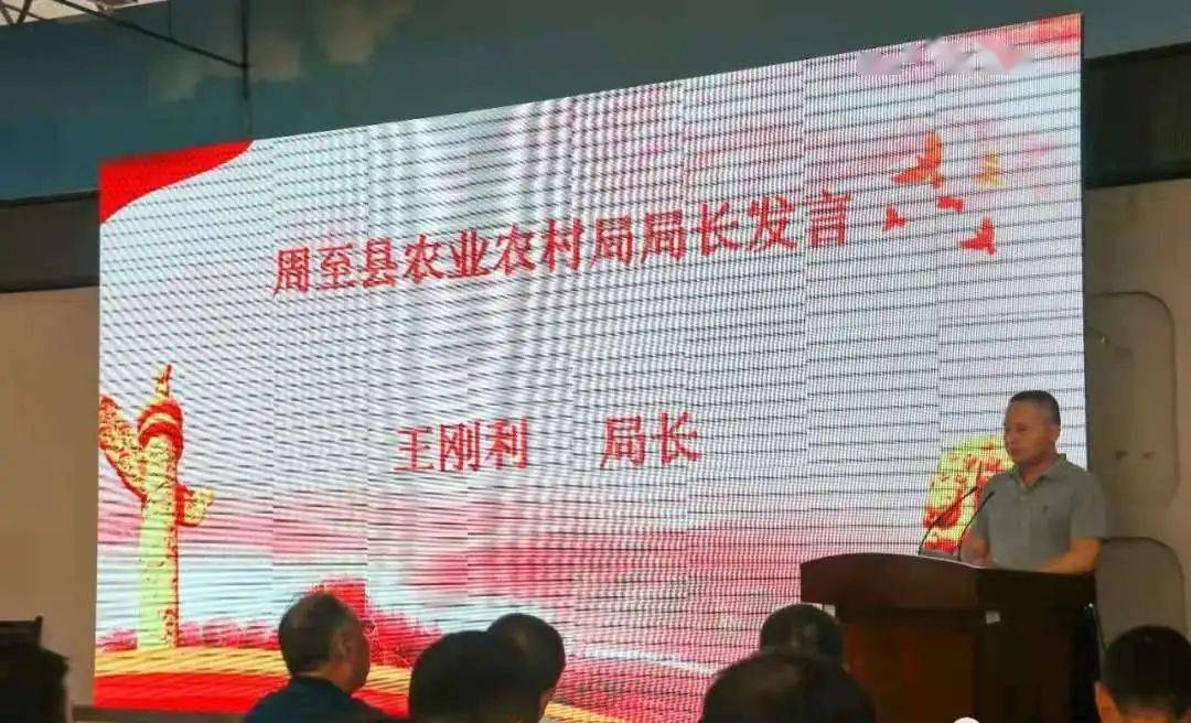 乡村振兴联合体_100个乡村振兴专项典型案例_