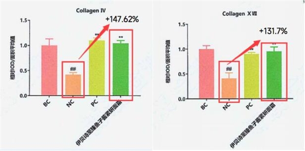 _一瓶精准抗松垮、胶原饱满更紧致，伊贝诗鱼子酱面霜力争国牌先锋_一瓶精准抗松垮、胶原饱满更紧致，伊贝诗鱼子酱面霜力争国牌先锋