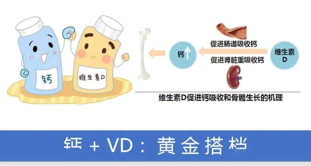 吃了骨质疏松药便秘_骨质疏松长期要吃哪些药_