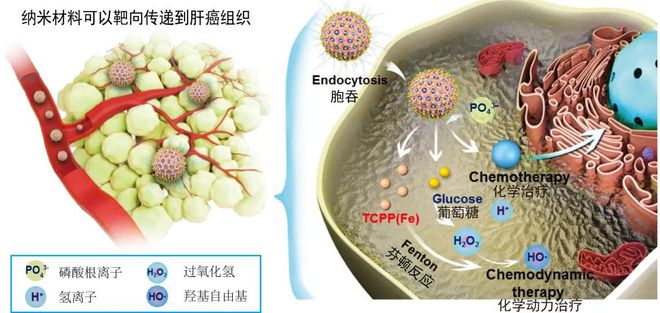 细胞癌死前状况__细胞癌会死人吗