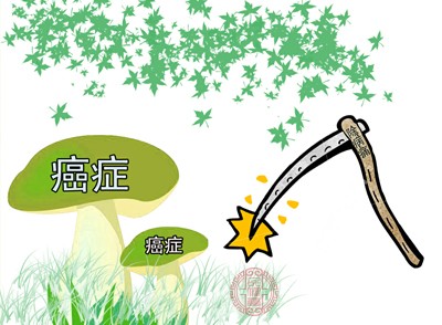 面对癌症这样的重大疾病，患者和家人需要专业的心理支持和指导